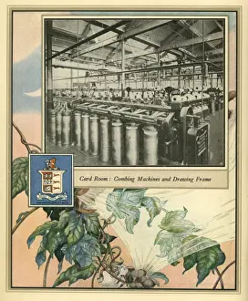Amalgamated Cotton Mills Trust Ltd, 1920