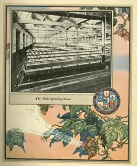 Amalgamated Cotton Mills Trust Ltd, 1920