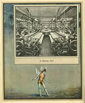 Amalgamated Cotton Mills Trust Ltd, 1920