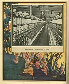 Amalgamated Cotton Mills Trust Ltd, 1920
