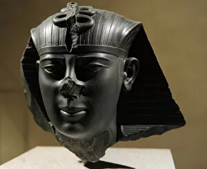Egyptians Gallery: Amasis II (570-526 BC)