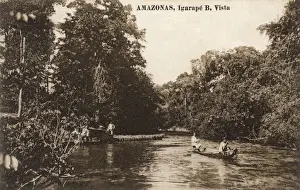 Vista Prints: Amazonia, Brazil - Igarape near Boa Vista on the Branco