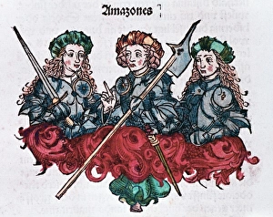Amazons Gallery: Amazons