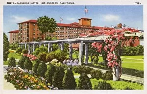Walkway Collection: Ambassador Hotel, Los Angeles, California, USA