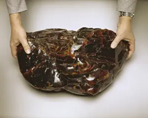 Resin Prints: Amber from Burma