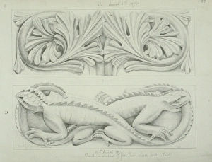 Lepidosaur Gallery: Amblyrhynchus cristatus, marine iguana design