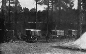 Ambulances Gallery: Ambulance carts on the eastern front, Russia, WW1