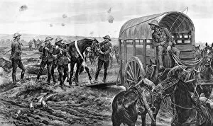 Battle Field Gallery: Ambulance for wounded horses, World War One