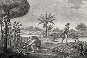 Engravings Prints: America (18th c. ). Growings of the Indians of