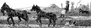 America. Wheat Farming in California. November: Ploughing