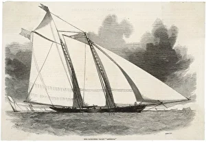 THE AMERICA WINS CUP