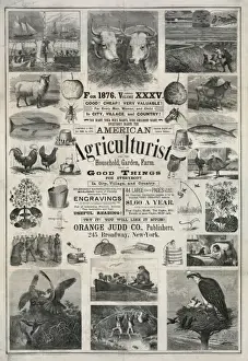Agriculturist Prints: American agriculturist. Good things for everybody