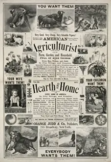 Agriculturist Prints: American agriculturist. Hearth and home