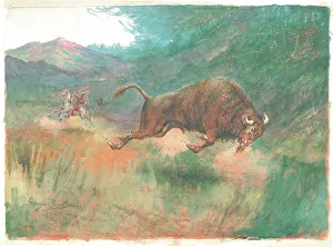 American Bison