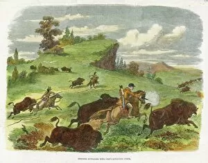 American Buffalo Hunt
