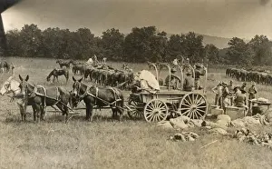 Mules Prints: American cavalry soldiers in field, USA