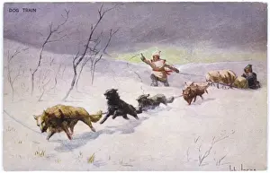 Sleighs Prints: American Dog Train