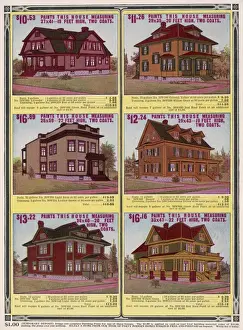 American Domestic Houses