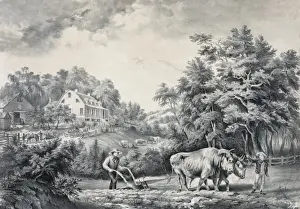Farm House Prints: American farm scenes: No. 1