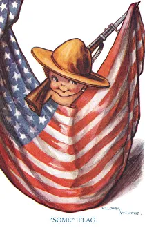 Images Dated 25th November 2019: American Flag