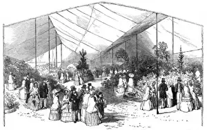 American plants, Royal Botanic Society, Regents Park