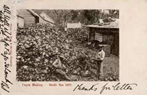 Piles Gallery: American Samoa - Pago Pago - production of copra