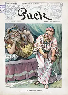 The American Samson
