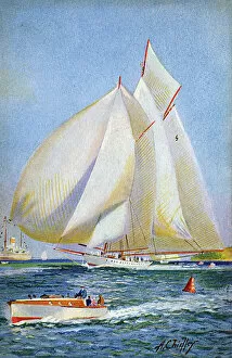 Davis Collection: American schooner Westward - built by Herrehoff
