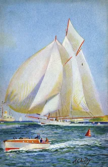 Images Dated 16th May 2017: American schooner Westward - built by Herrehoff