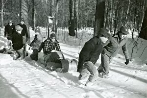 Wooded Collection: American Scouts pulling a sledge