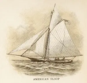 Sloop Prints: American Sloop