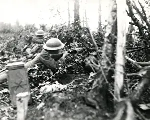 Undergrowth Prints: American soldiers in action, Tardenois, France, WW1