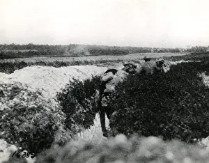 Thierry Prints: American soldiers under cover, France, WW1