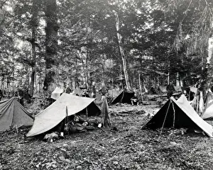 American troops camping in a wood, Western Front, WW1