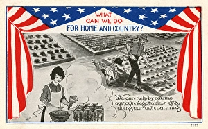 Allotment Collection: The American war effort at home - WWI