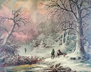 Winter Scenes Gallery: American winter in the woods