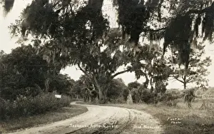Savannah Prints: Americas greatest automobile course, Savannah Georgia