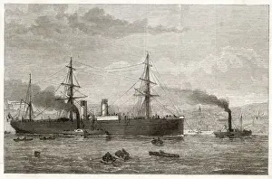Tugs Prints: AMERIQUE STEAMSHIP