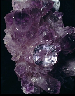 Amethyst Gallery: Amethyst