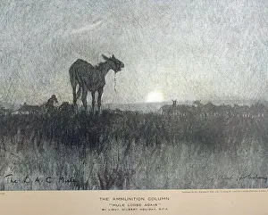 The Ammunition Column Mule loose again