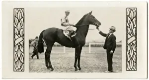 Jockeys Prints: Amounis, Australian race horse