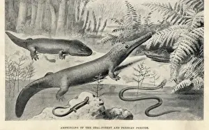 Fern Prints: Amphibians of the Permian period