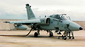 Stormo Prints: AMX international AMX MM7126 - 32-12