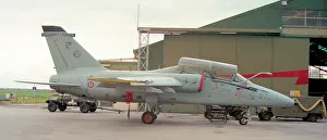 Amx T Prints: AMX international AMX-T MM55046 - 32-47