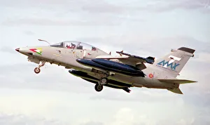 AMX-T MM55024