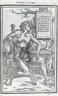 Anatomical drawings; dissection