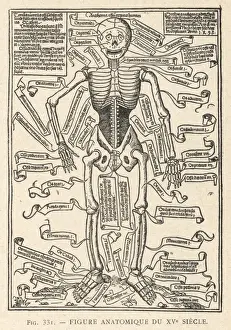1493 Prints: Anatomical Figure 1493