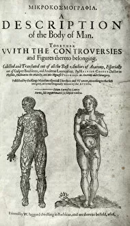 1616 Gallery: Two anatomical figures, one male and the other female