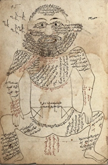 Anatomy of the Human Body. Persian manuscript (16th Anatomy of the Human Body. Persian manuscript (16th