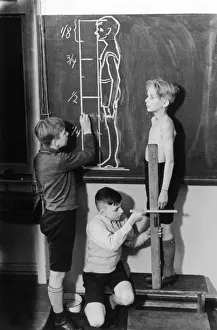 Anatomy Lesson